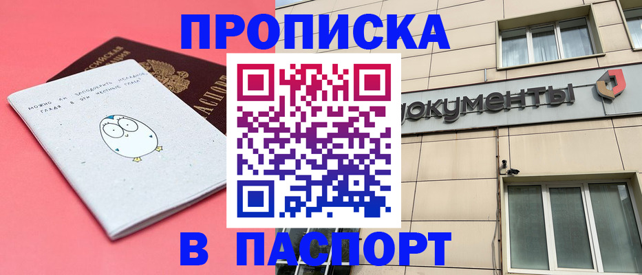 временная регистрация для всех в Зиме